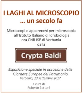 laghi al microscopio