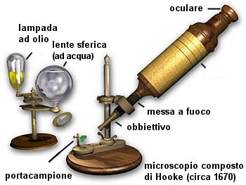 hooke.jpg (22971 byte)